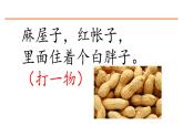 2 落花生 课件-部编版语文五年级上册
