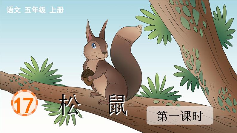 17 松鼠 课件-部编版语文五年级上册01
