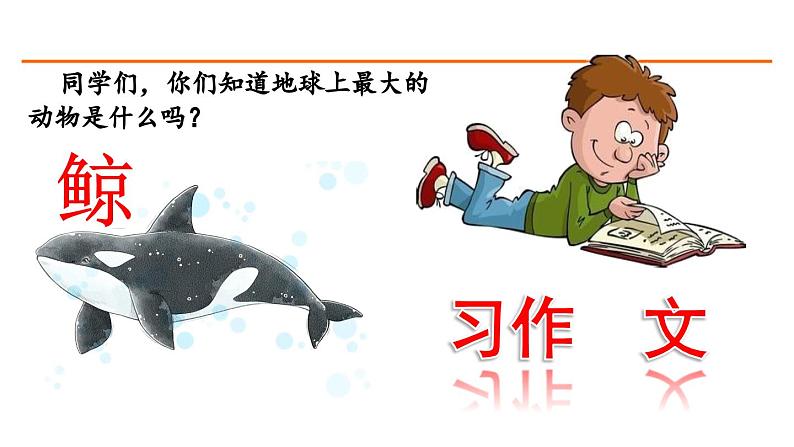 习作例文 课件-部编版语文五年级上册01