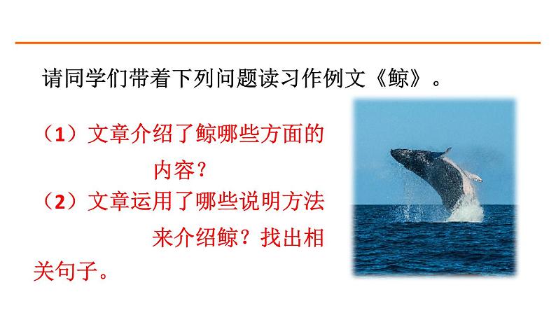 习作例文 课件-部编版语文五年级上册02