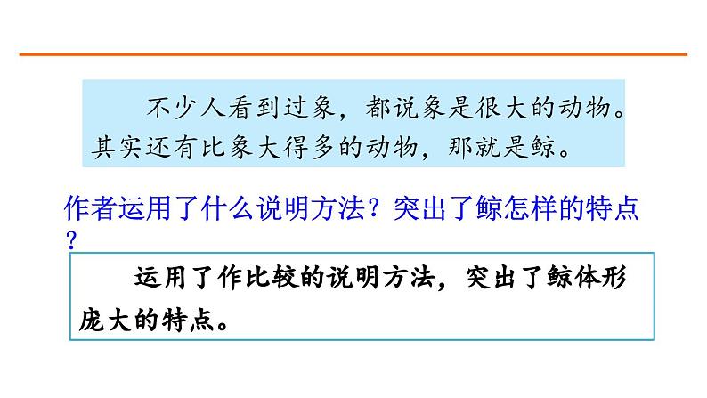 习作例文 课件-部编版语文五年级上册03