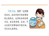 习作：介绍一种事物 课件-部编版语文五年级上册