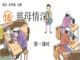 18 慈母情深 课件-部编版语文五年级上册