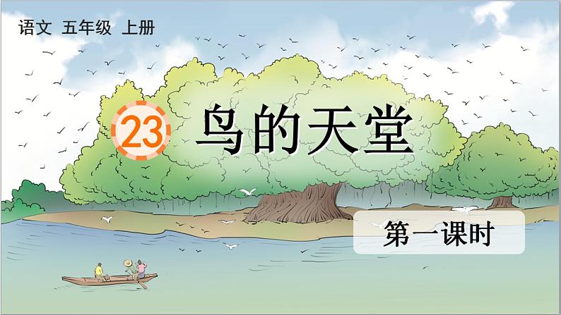 23 鸟的天堂 课件-部编版语文五年级上册01