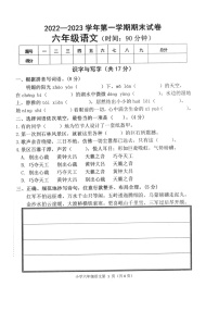 河南省平顶山市新华区2022-2023学年六年级上学期期末语文试卷