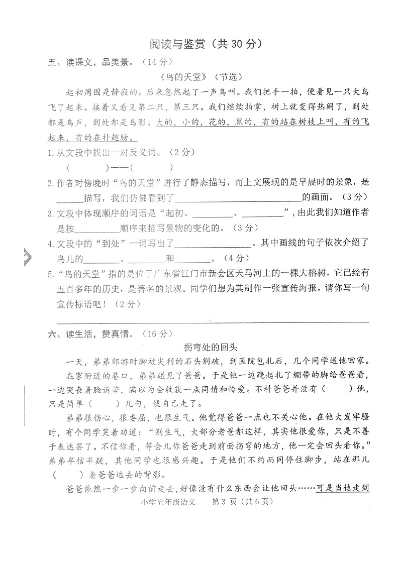 河南省平顶山市新华区2022-2023学年五年级上学期期末语文试卷03