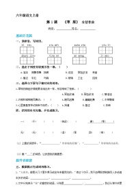 小学草原精品巩固练习