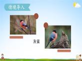 人教统编版小学三年级语文上册《25 灰雀》课堂教学课件PPT公开课