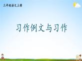 人教统编版小学三年级语文上册《习作例文与习作》课堂教学课件PPT公开课