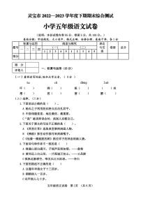 河南省灵宝市2022-2023学年五年级下学期期末考试语文试题