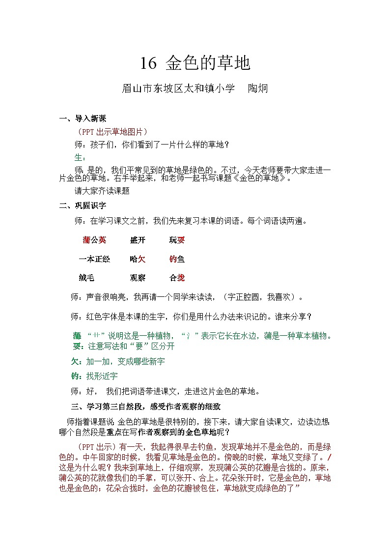 16《金色的草地》教案第1页