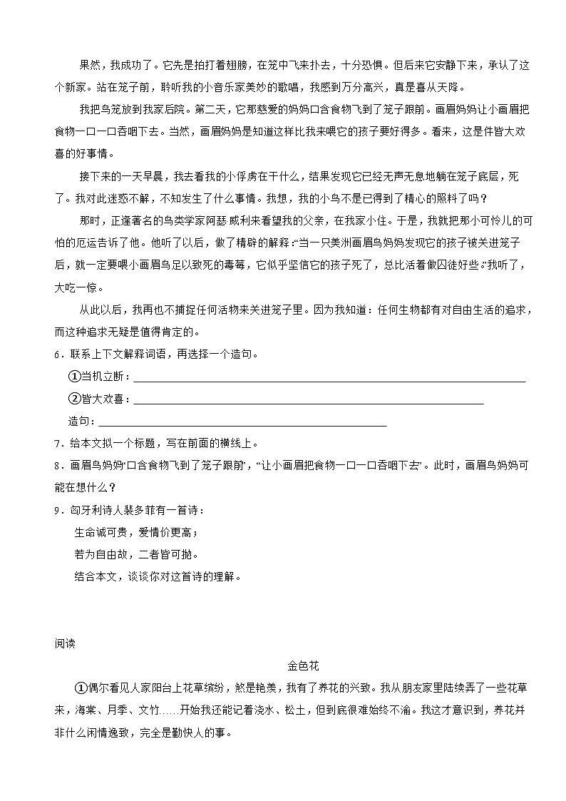 部编版语文课内外阅读与能力提升专项训练五年级上第4课《 珍珠鸟 》03