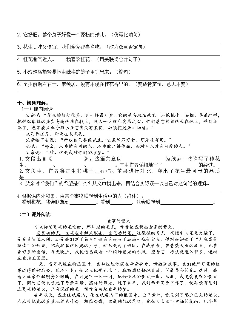 部编版语文五年级上册  第一单元知识训练卷 单元测试（无答案）03