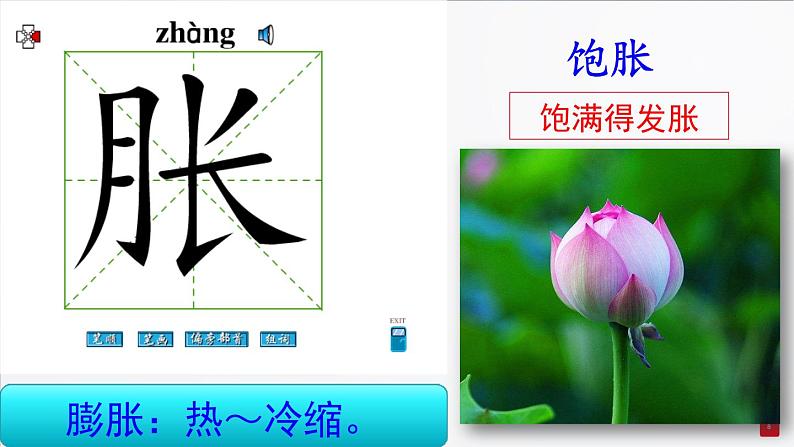 部编三年级下册《荷花》 课件第8页