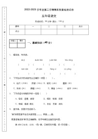 【高效提升】五年级语文下册期末冲刺卷（A卷）（部编版有答案）