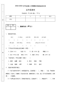 【高效提升】五年级语文下册期末冲刺卷（B卷）（部编版有答案）