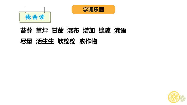 人教部编版六年级上册第16课 夏天里的成长课件06