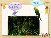 部編版語(yǔ)文二上 口語(yǔ)交際：有趣的動(dòng)物（課件）