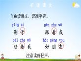 人教统编版小学一年级语文上册《5 影子》课堂教学课件PPT公开课