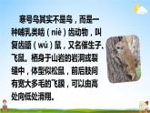 人教部编版小学二年级语文上册《13 寒号鸟》课堂教学课件PPT公开课
