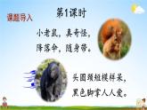 人教部编版小学二年级语文上册《23 纸船和风筝》课堂教学课件PPT公开课