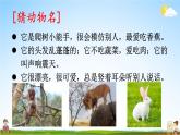 人教部编版小学四年级语文上册《习作：小小“动物园”》课堂教学课件PPT公开课