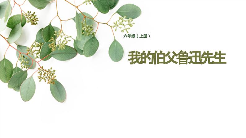 统编版六年级上册第二十六课我的伯父鲁迅先生课件PPT01