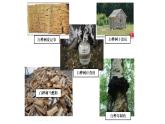 四年级下册第三单元11.白桦课件PPT