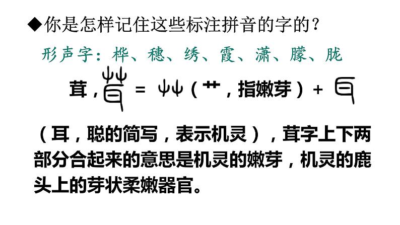 四年级下册第三单元11.白桦课件PPT第8页