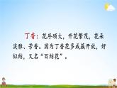 人教部编版小学六年级语文上册《2 丁香结》课堂教学课件PPT公开课