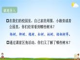 人教统编版小学二年级语文上册《2 树之歌》课堂教学课件PPT公开课