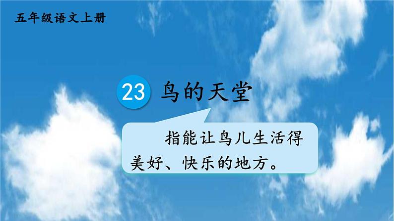 人教统编版小学五年级语文上册《23 鸟的天堂》课堂教学课件PPT公开课第1页