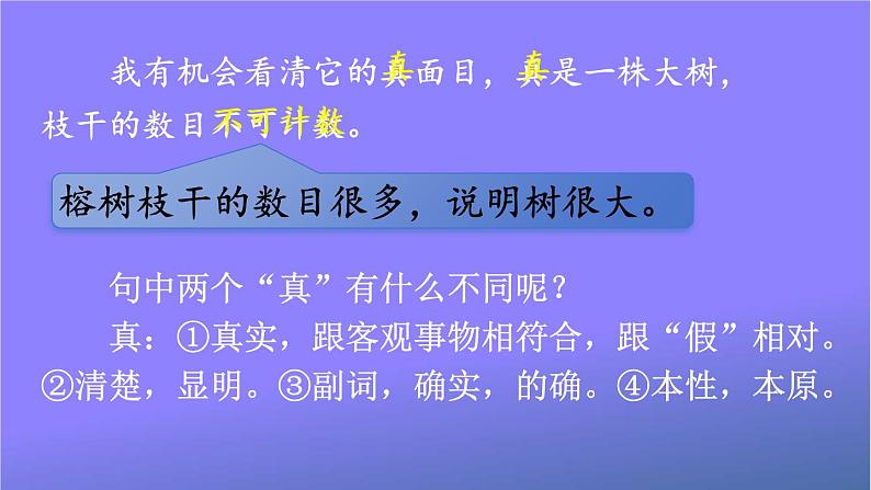 人教统编版小学五年级语文上册《23 鸟的天堂》课堂教学课件PPT公开课第8页