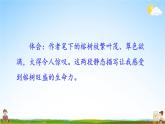 人教统编版小学五年级语文上册《语文园地七》课堂教学课件PPT公开课