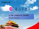 人教统编版小学六年级语文上册《20 青山不老》课堂教学课件PPT公开课