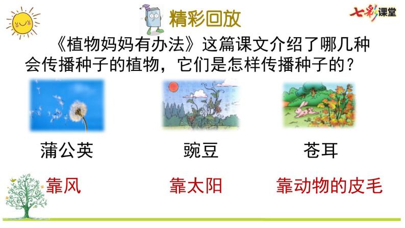 统编版小学语文二年级上册 专项5：课文知识点复习课件02