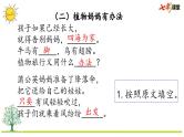 统编版小学语文二年级上册 专项7：阅读指导复习课件