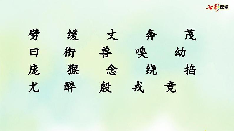 部编版小学语文四年级上册 专项1：生字复习课件05