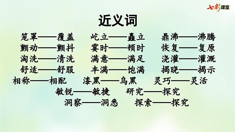 部编版小学语文四年级上册 专项2：词语复习课件06