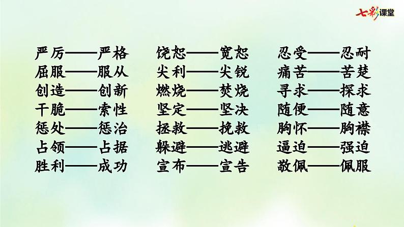 部编版小学语文四年级上册 专项2：词语复习课件07