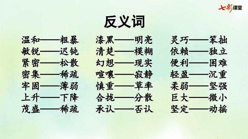 部编版小学语文四年级上册 专项2：词语复习课件08