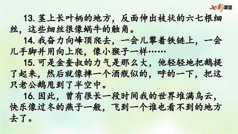 部编版小学语文四年级上册 专项3：句子复习课件05