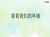 部编版小学语文四年级上册 专项8：口语交际复习课件