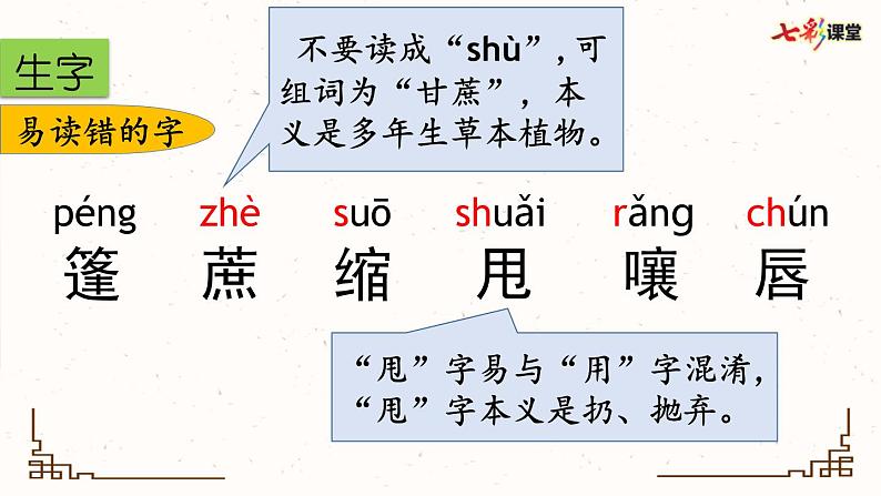 部编版小学语文六年级上册 第五单元复习课件第3页