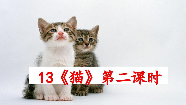 13 《猫》教学课件 - 副本第1页