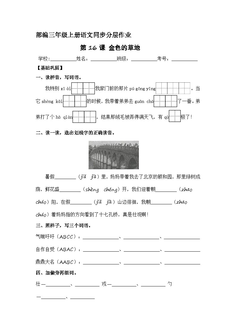 第16课 金色的草地  同步分层作业-2023-2024学年三年级语文上册（统编版）01
