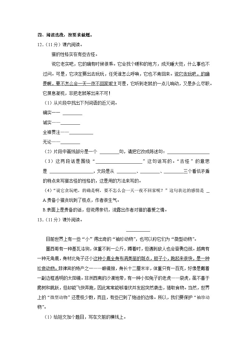 河南省信阳市光山县2022-2023学年四年级下学期期末考试语文试题03
