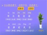 人教部编版小学语文三年级上册《1 大青树下的小学》课堂教学课件PPT公开课