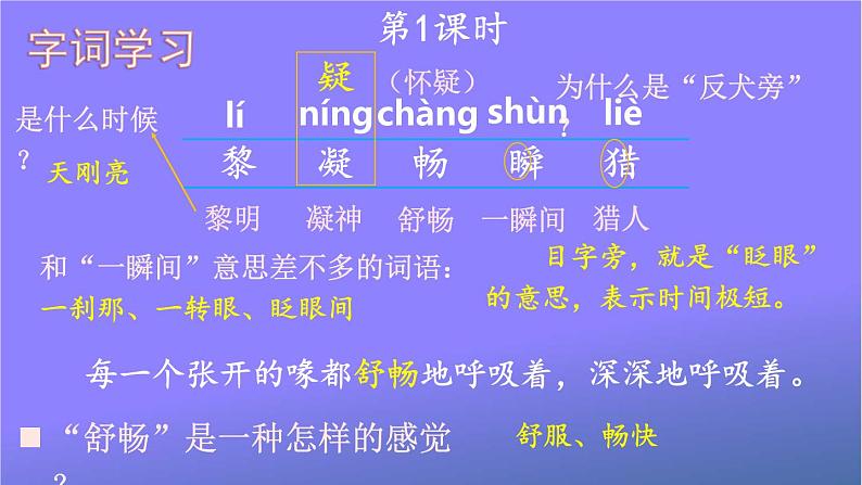 人教部编版小学语文三年级上册《23 父亲、树林和鸟》课堂教学课件PPT公开课02