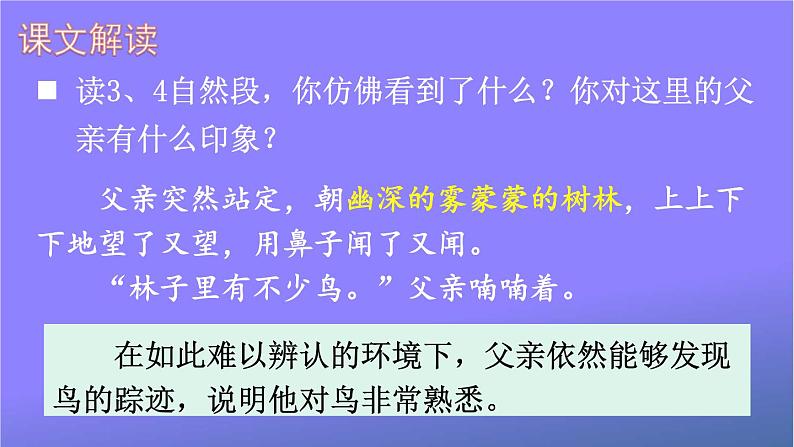 人教部编版小学语文三年级上册《23 父亲、树林和鸟》课堂教学课件PPT公开课06